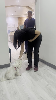 Parkview Pet Center - Veterinary Clinic thumb 6